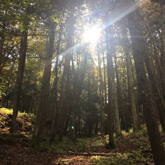 Meet your Posher, Nancy - Picture 4 of 4